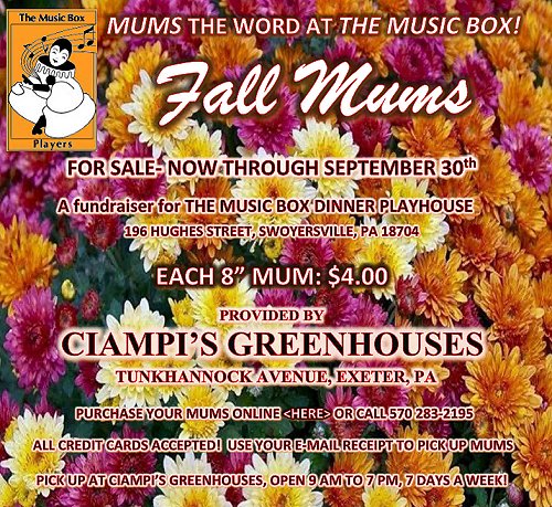 music box dinner theater